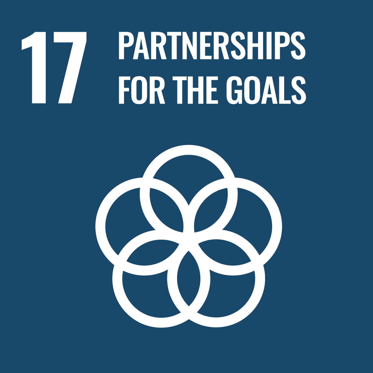 SDG Goal 17