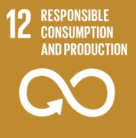 sdg12