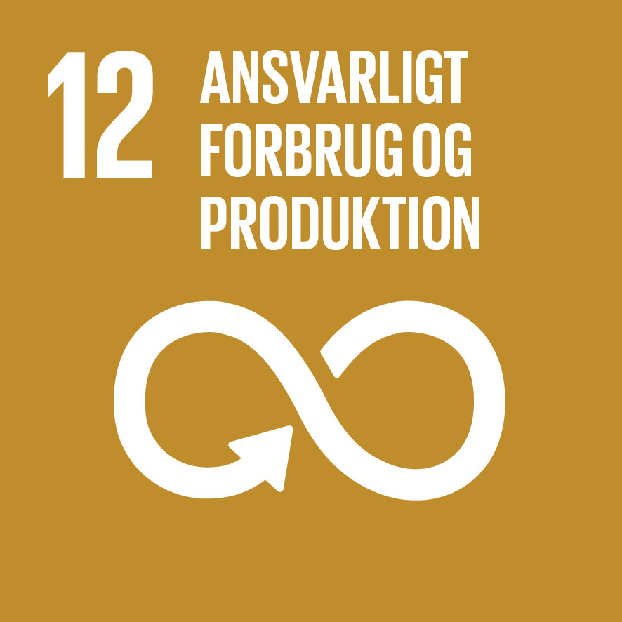 SDG Goal 12