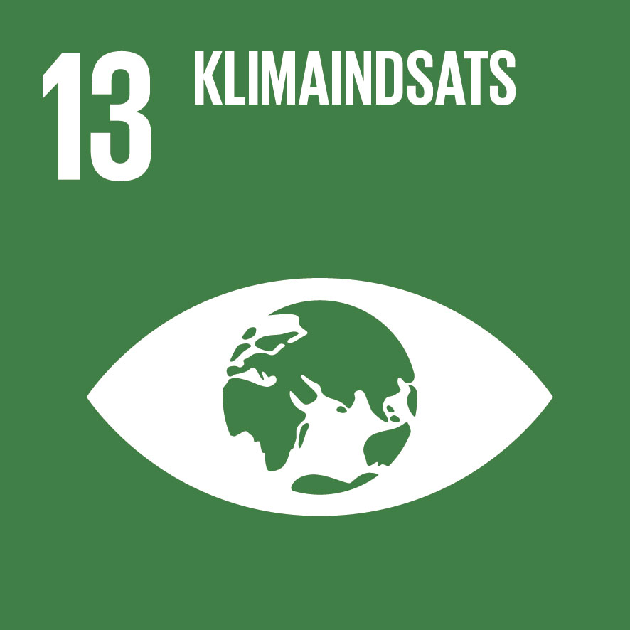 SDG Goal 13