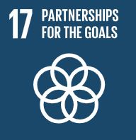 sdg17